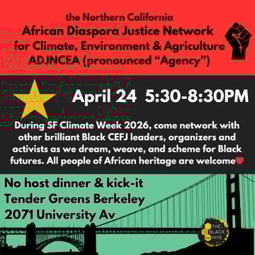 Cover Image for ADJNCEA Afro-Diasporan Climate/Environmental/Food Justice Network Kick It