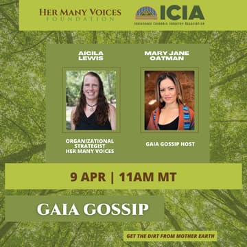 Cover Image for Reconnecting to Our Roots