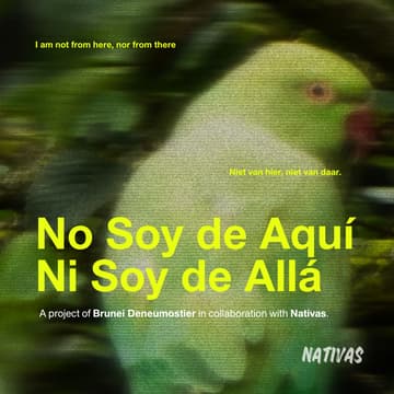 Cover Image for No Soy de Aquí, Ni Soy de Allá - Brunei x Nativas Exhibition