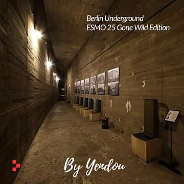 Cover Image for Berlin Underworlds | ESMO 2025 WWII History