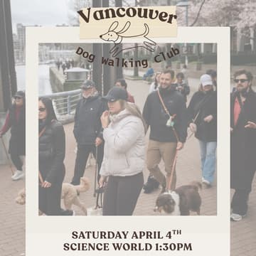 Cover Image for Dog Walk: Stroll & Social