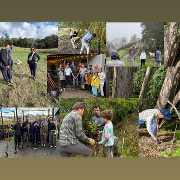 Cover Image for Volunteer Day at Rancho San Gregorio 🌱