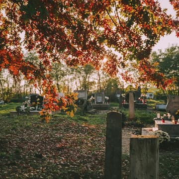 Cover Image for Death Is Life, Too