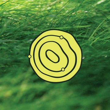 Cover Image for Round 01 ~ Grantee Support