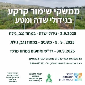 Cover Image for ממשקי שימור קרקע בגידולי שדה ומטעים