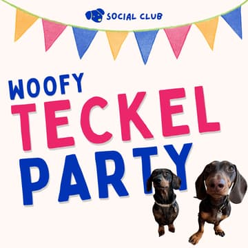 Cover Image for 🌭 WOOFY TECKEL PARTY !