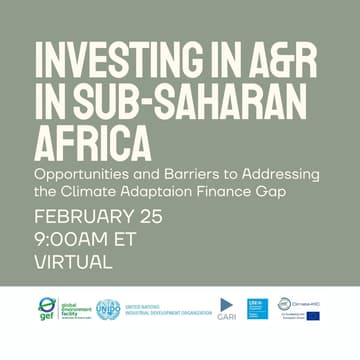 Cover Image for Webinar: Investing in A&R in Sub-Saharan Africa