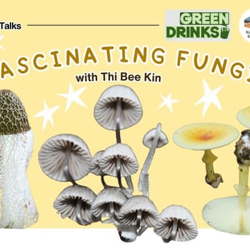 Cover Image for Fascinating Fungi: Talk + Video Screening
