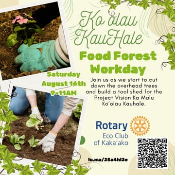 Cover Image for Ko'olau KauHale