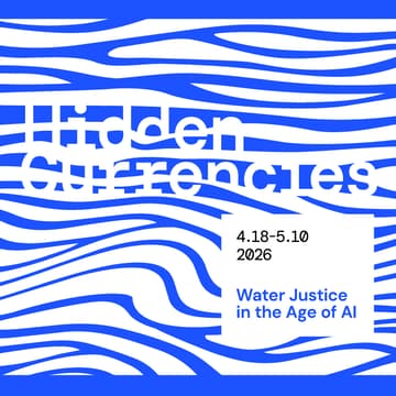 Cover Image for Hidden Currencies: Public Opening Reception