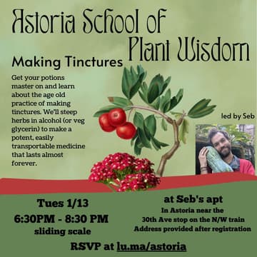 Cover Image for Making Tinctures