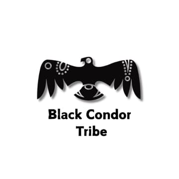 Cover Image for Black Condor Info Call