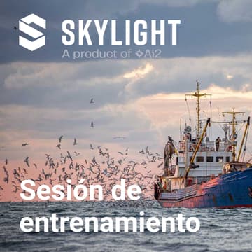 Cover Image for Skylight – Sesión de entrenamiento en línea [Español]