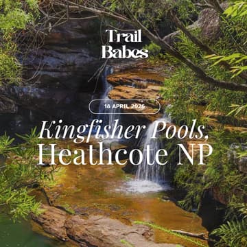 Cover Image for Kingfisher Pool via Bullawarring Track and Mooray Track | TrailBabes Hike #19