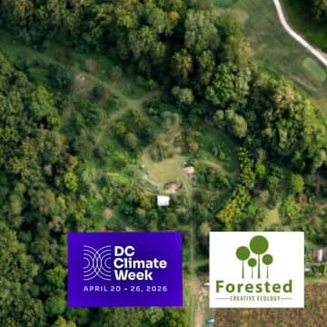 Cover Image for Volunteer Hour at Food Forest