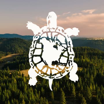 Cover Image for Turtle Island Bioregional Congress - Info Session