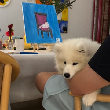 Cover Image for Royal Pet