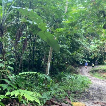 Cover Image for Unicorn trail Bukit Kiara - IBP 62