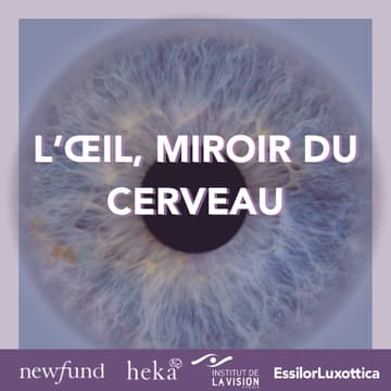 Cover Image for Œil & cerveau : la rétine, nouvelle sentinelle des maladies neurologiques