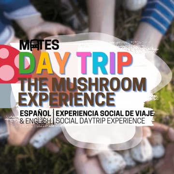 Cover Image for 🍄‍🟫 Day Trip x MATES - The Mushroom Experience