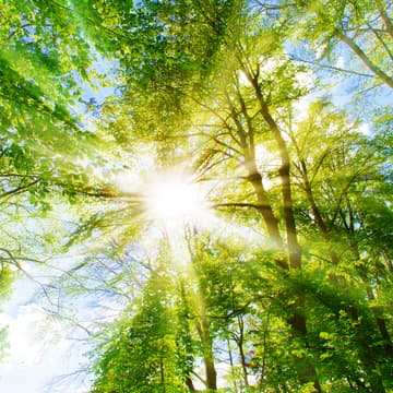 Cover Image for UTS Climate Connections: Networking Event