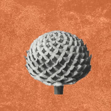 Cover Image for The Intuitive Field: A Whole Body Listening Intensive (8 Week Course)