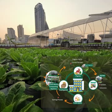 Cover Image for เปิดบ้านฟาร์มหมุนเวียนเปลี่ยนเมือง/ Open House Circular Farm in bangkok