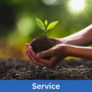 Cover Image for Keeping the Midlands Beautiful