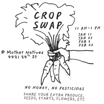 Cover Image for Crop Swap