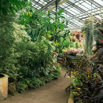 Cover Image for Sound Bath @ Cactus and Tropicals