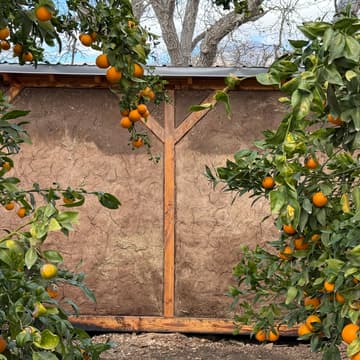 Cover Image for Natural Building Workshop