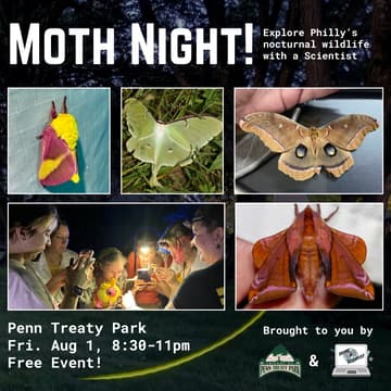Cover Image for Moth Night at Penn Treaty Park