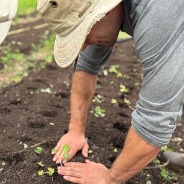 Cover Image for Community Farming Day - Growing Good Saturday Series