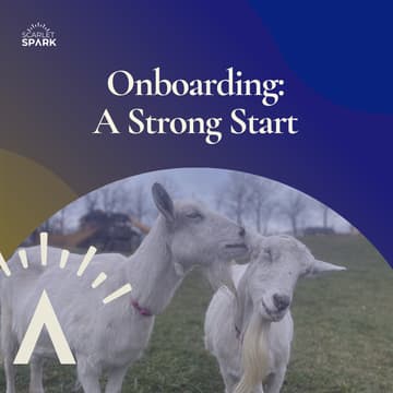 Cover Image for Onboarding: A Strong Start
