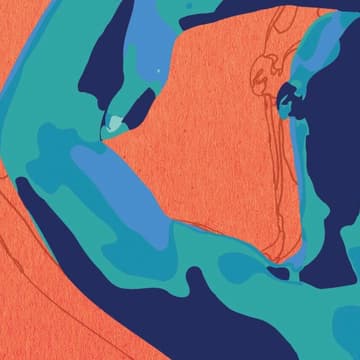 Cover Image for The Art of Midlife 1: Yoked — Bonnie Tsui & Caroline Paul on Muscles