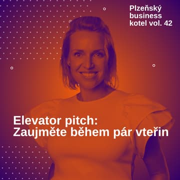 Cover Image for Plzeňský business kotel vol. 42