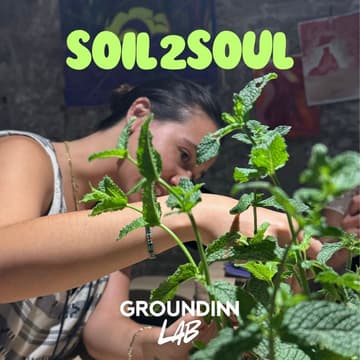 Cover Image for Soil2Soul Meets Upcycled Paper