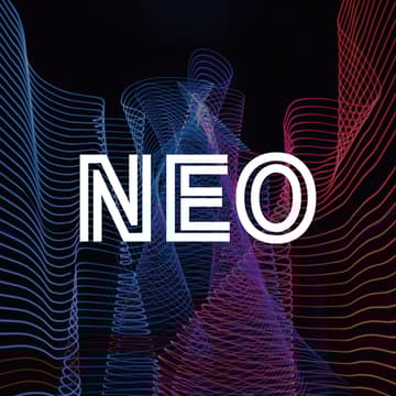 Cover Image for NEO CYBER SERIES 2025 Rd.Final パブリックビューイング