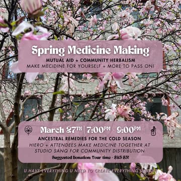 Cover Image for Spring Medicine Making