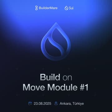 Cover Image for BuilderMare SUI Education - Group 3 - Module #1