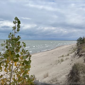 Cover Image for Pinery provincial park - Hike (Grand Bend – Lake Huron) – 4km + 4.45km – Moderate]