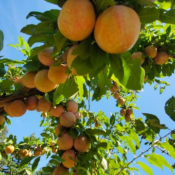 Cover Image for Systemic Investing: A Deeper Inquiry