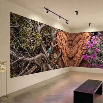 Cover Image for Taos by Taos Part II with Taos Film Festival