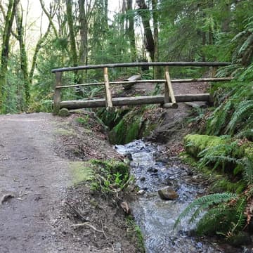 Cover Image for Lodge Hike @ Cougar Mountain Indian Trail