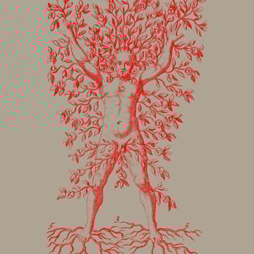 Cover Image for Metabolic Sublimes Study Group