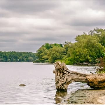 Cover Image for Guelph lake Kayaking/Canoe – Guelph