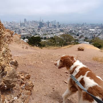 Cover Image for BioPharma Networking Hike: Mt Olympus & Corona Heights Park