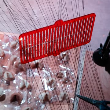 Cover Image for Fortune Cookies & Code: Fortune, Prediction, and Data Traces