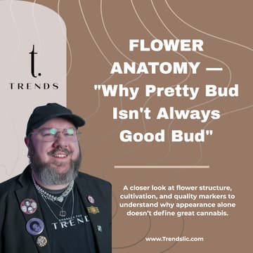 Cover Image for FLOWER ANATOMY - "Why Pretty Bud Isn't Always Good Bud"