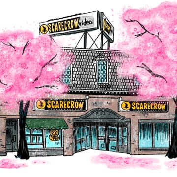 Cover Image for Secret Scarecrow Tour